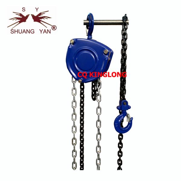 G80 1 Ton CE Elephant 3m Lifting Chain Pulley Block HSZ-CB