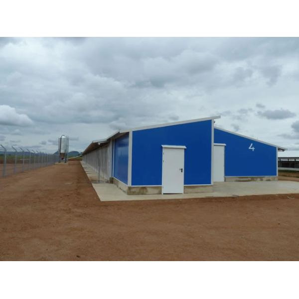 Промышленные стальные конструктивные здания Преfabricated Steel Poultry House Customized