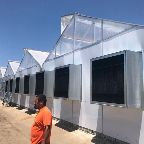 Приведенный вырастите освещающ парника Dep тоннеля пядь автоматического светлого Multi для расти Hemps