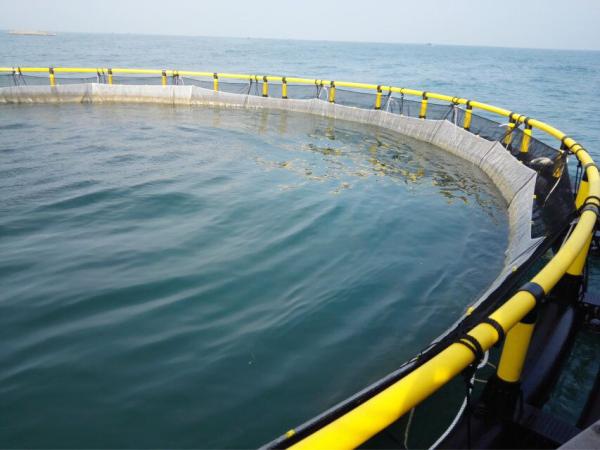 Sistema de jaulas de cultivo de peces en alta mar de HDPE, diámetro 10m-50m