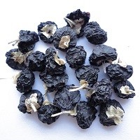 heigouqi / black goji berries/ Chinese black wolfberry/black medlar
