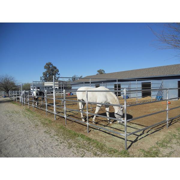 Horse and Sheep Yard Panels for Sale 1.8m x 2.1m 6 Horizontal Rails Oval tube 115x42mm