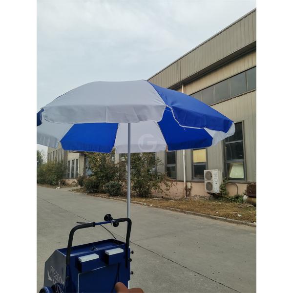 3 Wheel Street Mobile Fast Food Vending Bike Cart with Customized Cooking Equipment