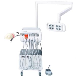 Modelo de Treinamento Dental Simulador Sistema de Treinamento de Cabeça Escola