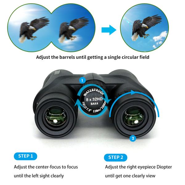 Светлый телескоп компакта биноклей 8x32 птицы для удить путешествовать звероловства