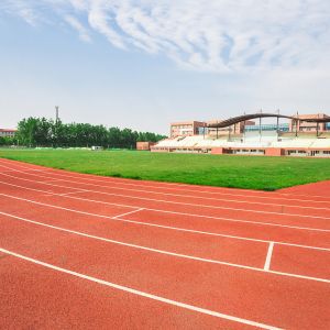 Спортивная площадка огнезащитного следа системы сэндвича идущего влагостойкая