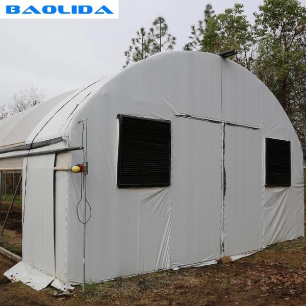 Парник гриба черно-белого тоннеля пяди крышки фильма одиночного пластиковый