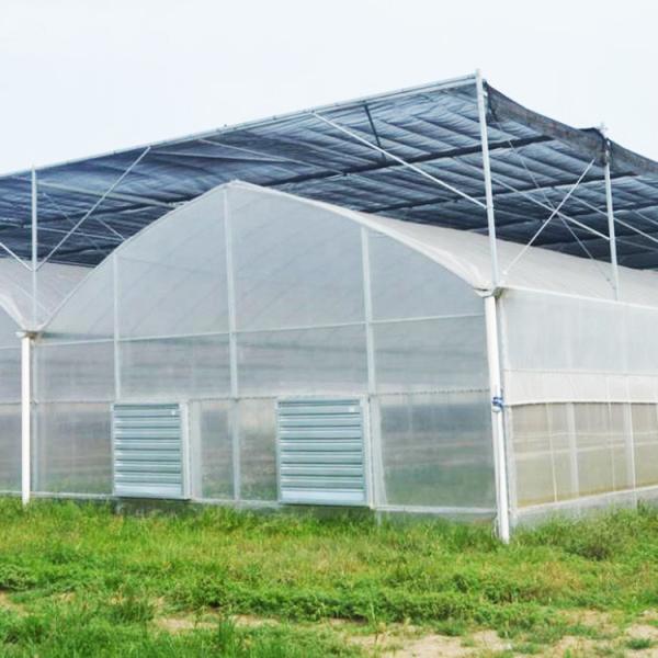 Hot Dipped Galvanized Steel PE Plastic Film Greenhouse 150mic 200 Micron