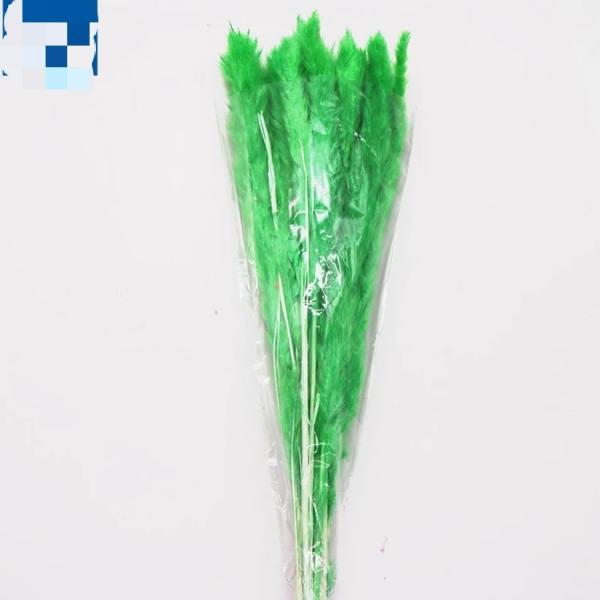 Wholesale Price Preserved Flower Dried Rabbit Tail Grass   Decorative Flowers