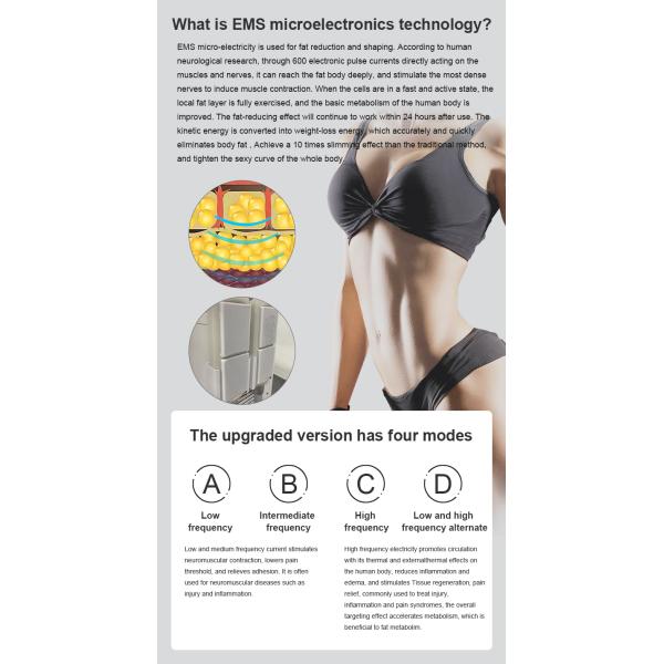 Fat Removal Non Invasive 8D Laser Therapy Machine Dual Wavelength 532nm 635nm Red And Green Light