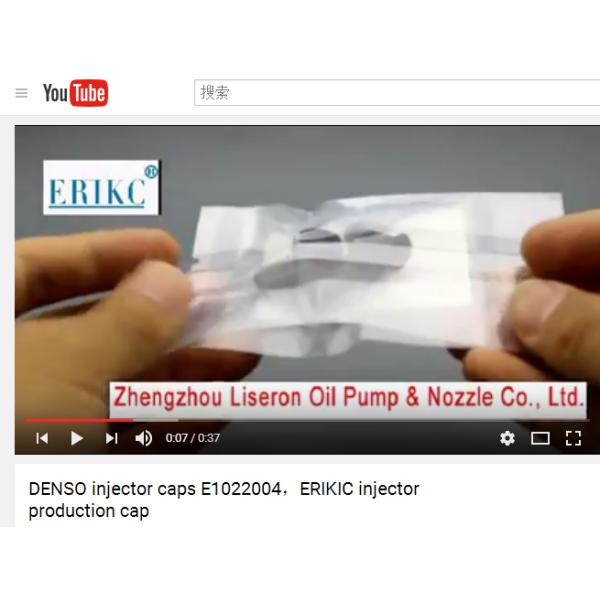 Denso common rail injector plastic protection plug E1022004 , plastic prot plug and protection cap for diesel injector