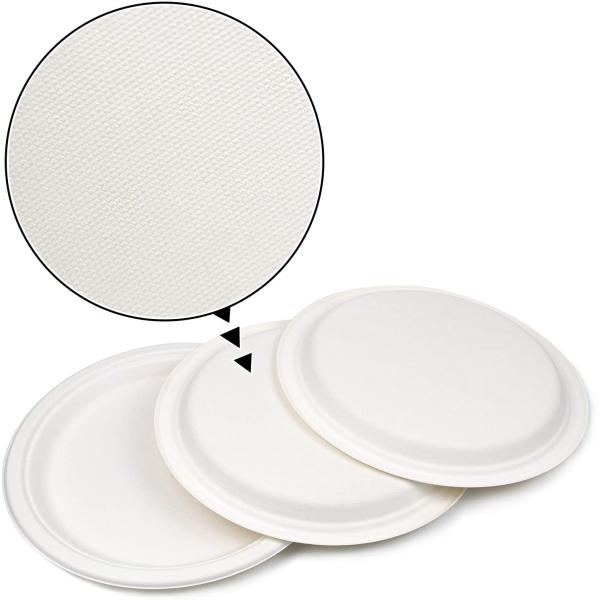 100% Compostable 8.75 Inches Natural, Biodegradable Food Plate For Food And Vegetables