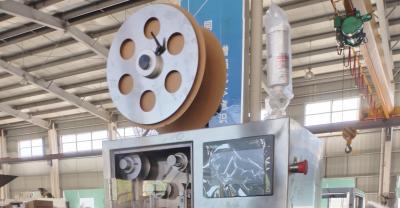 MoisturePro Pharma Desiccant Inserting Machine 130 Bottles/Min