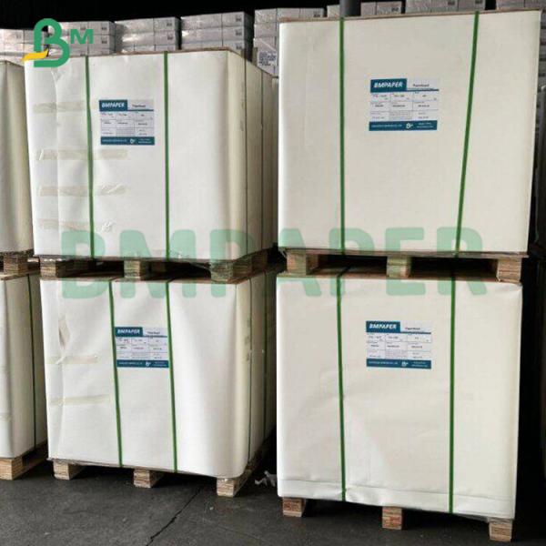 275gsm 325gsm High Rigidity Food Grade Paperboard for Frozen Food Packaging Boxes