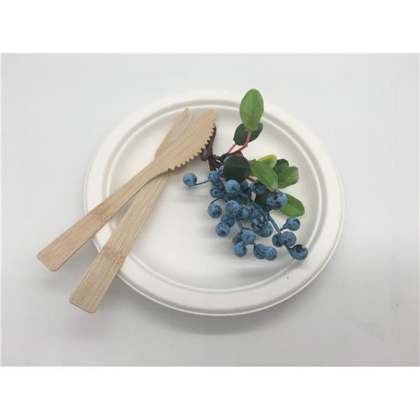 Disposable 6/ 7 /8.75/9 10 Inch Biodegradable Sugarcane Bagasse Plates