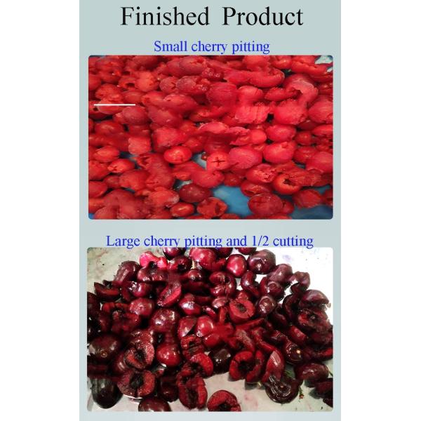 Commercial Fruit Core Seed Removing Cherry Pitting Machine