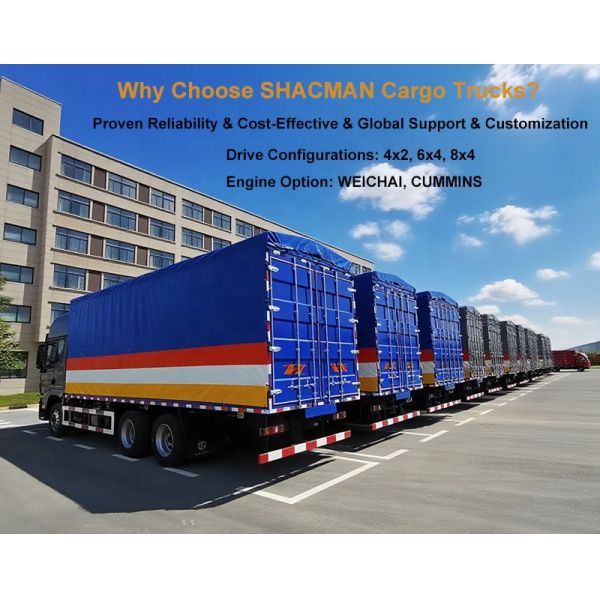 Shacman 10 Ton Box Truck Lorry Vehicles Single Bridge Automatic Box Cargo Truck