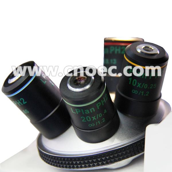 Ergonomic Phase Contrast Microscopy , Infinity Color Corrected Optical System A19.0901