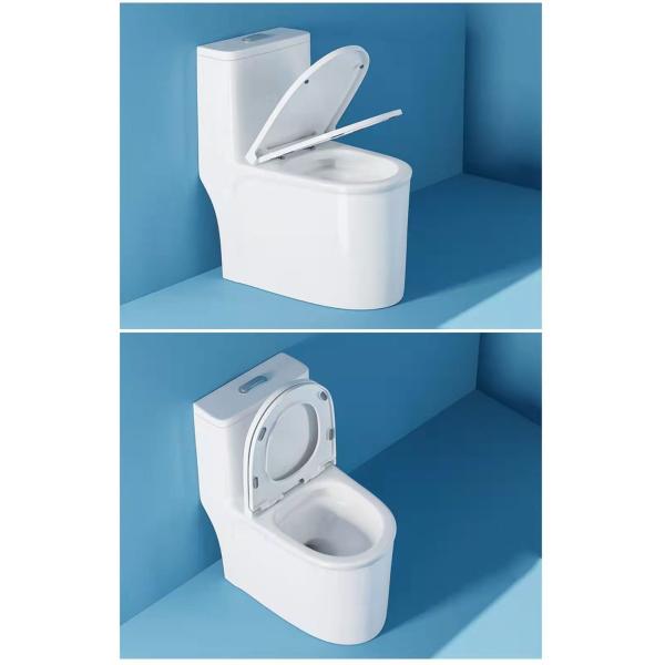 Porcelain Ceramic Wall Hung Toilet White Europe Style Bathroom with Buffer Cover Plate