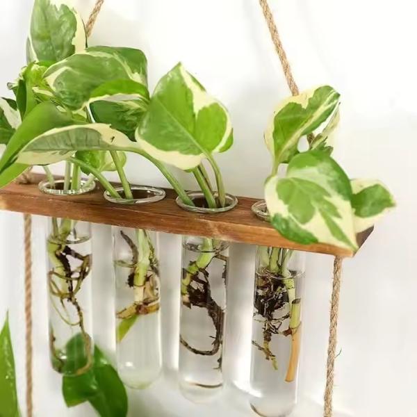 hot-selling Wall Hanging Planter  2 Tiered Plant Propagation Station  With Wooden Stand & Glass Planter home decor