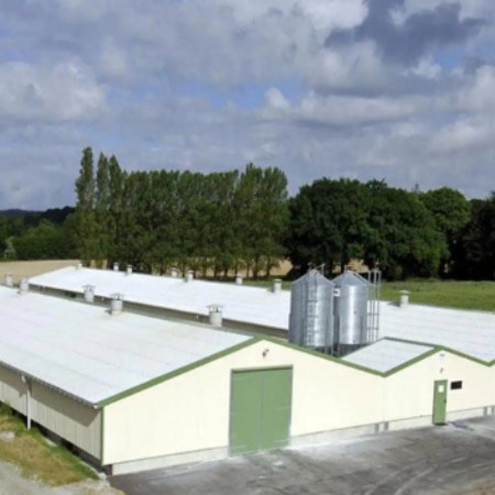 Solid H Shape Beam Poultry Farm Structure Lightweight Steel Frame House Anti Wind