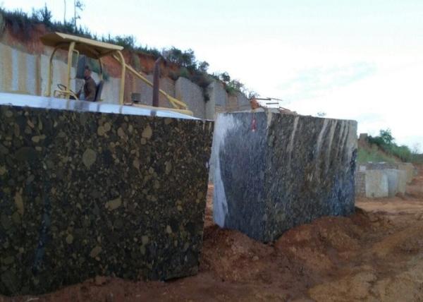 Mosaic Black Granite Slab For Work Top , High Hardness Granite Stone Slabs