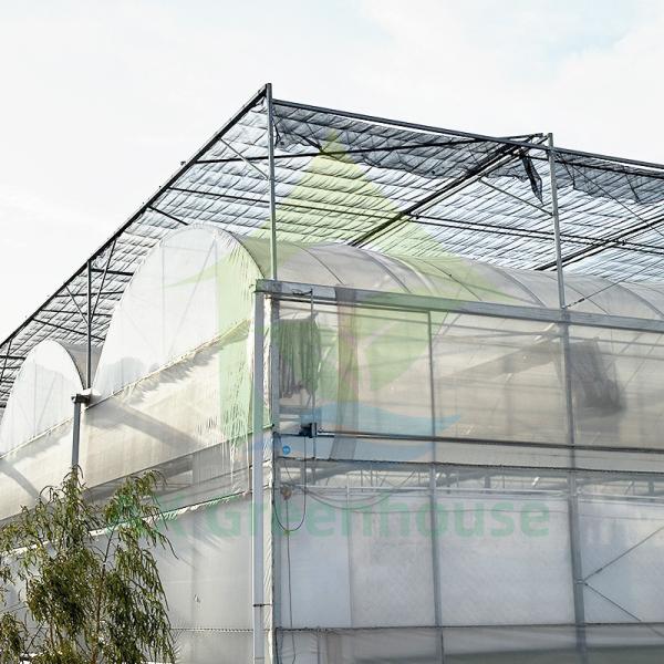 Films en plastique à dent de scie poly-tunnel à longue portée Serre végétale Serre hydroponique