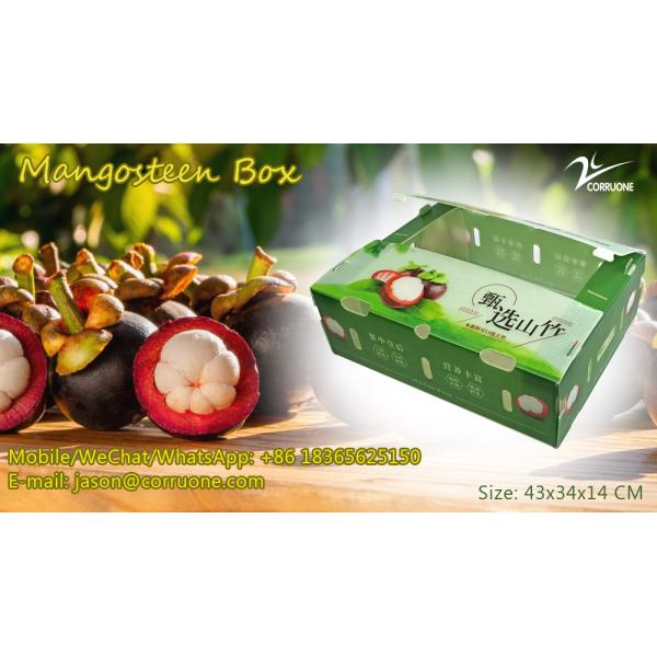 Коробка сота ящиков для хранения Корфлейт брокколи рифленая для плодов