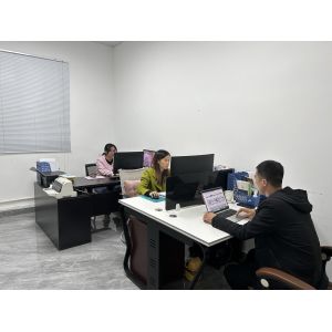 Foshan Peak Vision Technology Co., Ltd.