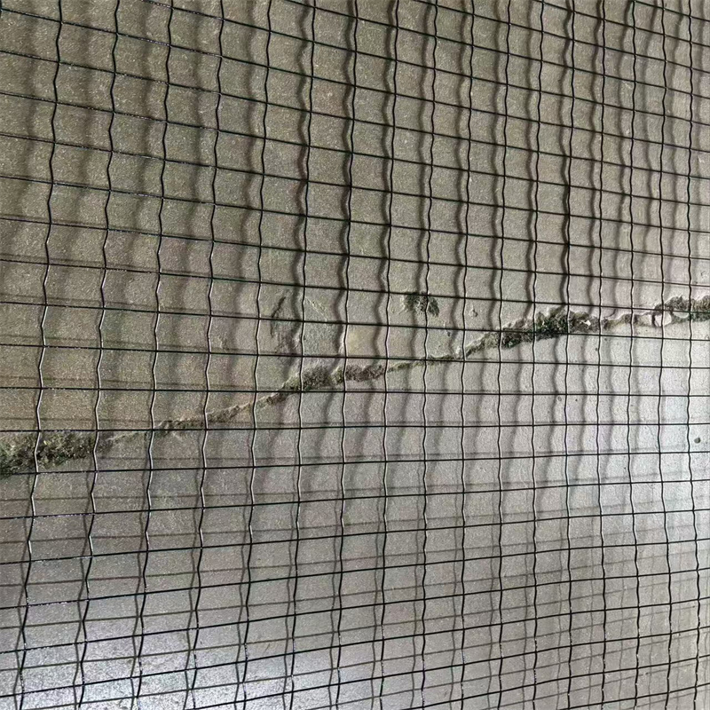 Hot Dipped Galvanized Welded Wire Mesh Roll & Sheet Made from Low Carbon Steel for Outdoor Use