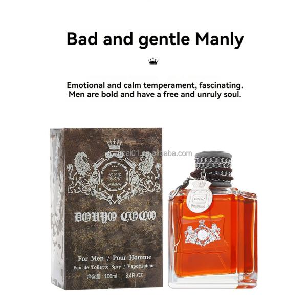 Daily Care Charming Fragrance Bad Boy Men's Perfume 100ml Natural Wood Scent for Men