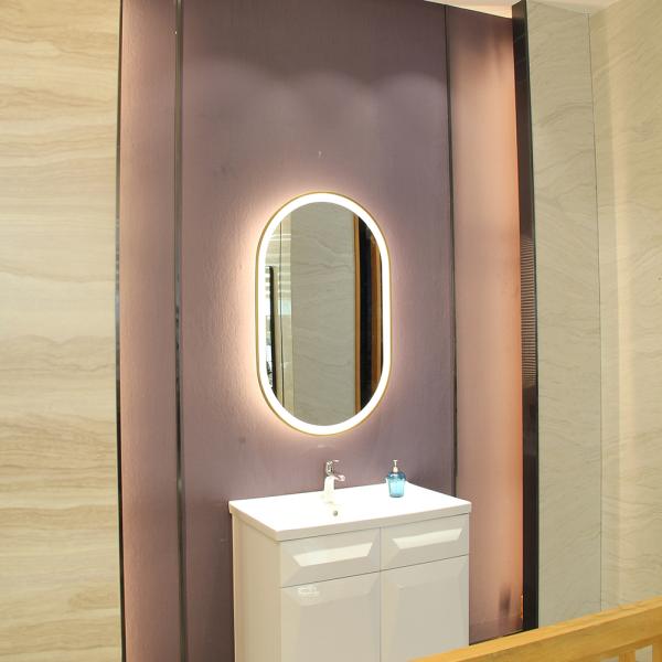 Stainless Steel Oval Framed Wall Mirror with LED Light Luxury Golden Color W60xH100cm