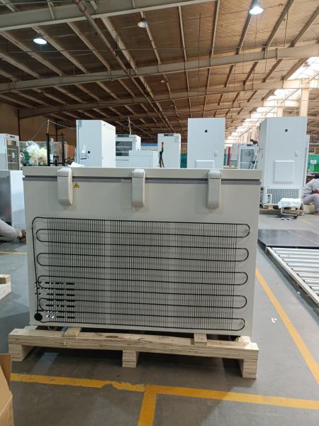 MDF-40H305 -40℃ Congélateur Coffre Biomédical | Congélateur Profond Médical de Grande Capacité 305L pour le Stockage de Virus, de Sang et de Laboratoire