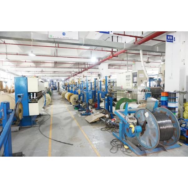 Dongguan Dasheng Electronic Co., Ltd.