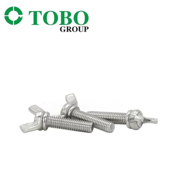 Borboleta 316 Wing Head Bolt de aço inoxidável de TOBO 304
