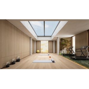 DMS LARGE ANGLE BI FOLD SKYLIGHT