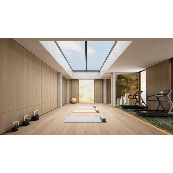 LARGE-ANGLE BI-FOLD SKYLIGHT