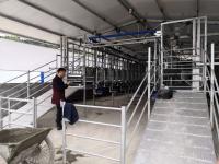 A ordenha da cabra da exploração agrícola de leiteria faz à máquina o sistema de ordenha de aço inoxidável