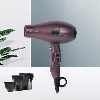 Secador de cabelo iônico do poder superior 2400W de ROHS com etapa do motor de C.A. um do difusor