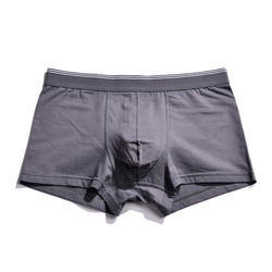 S Sexy Panty Cotton Men Underwear Male Anti Static Cotton Boxer Shorts