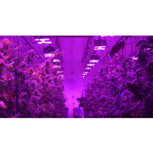 Света СИД медицины/овоща растущие завод длины волны 580 ватт полный растут света