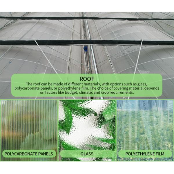Large PE Film Greenhouse 50m Length 7-10m Span Width
