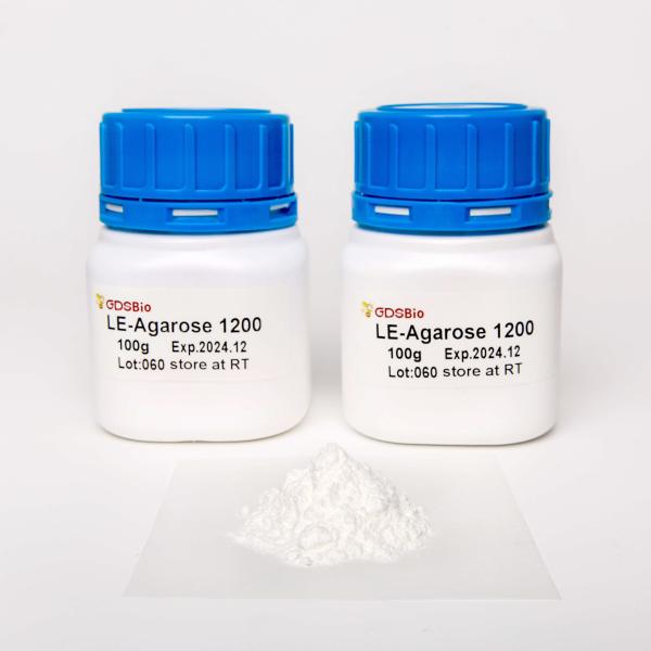 Poudre de gel d'agarose de N9052 100g