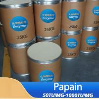 Enzima papaína de la papaya 300USP-6000USP Extracto de papaya en polvo de proteasa