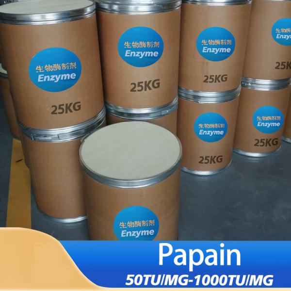 60000U/G-2400000U/G Activité de l'enzyme papaïne protéinase personnalisée