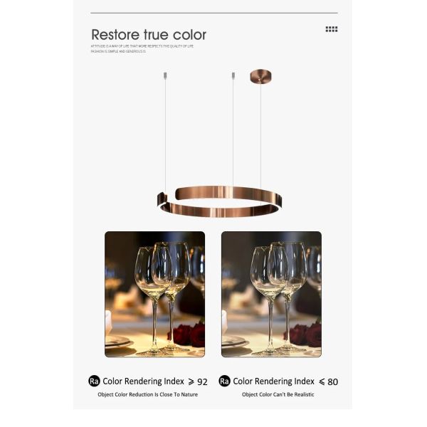 Mito sospeso chandelier Nordic Led Dimmable ring light staircase lamp (WH-NC-134)