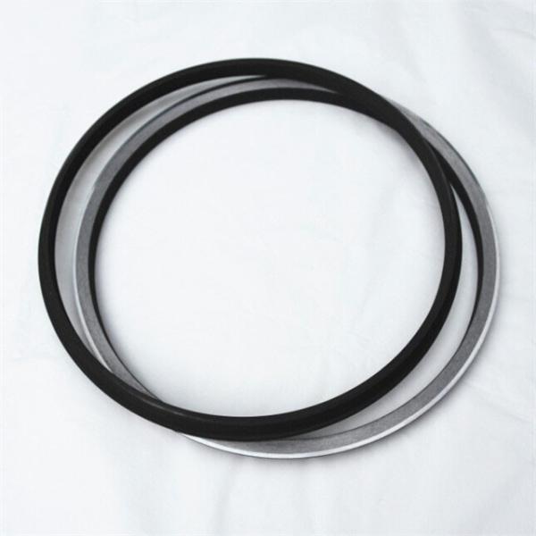 9W7201 6T4316 Rotary Oil Seal , 6T8433 9W7202 TA8404 1326141 Cat Duo Cone Seal