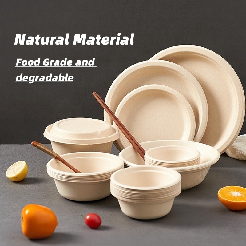 Different Size Eco-Friendly Sugarcane Pulp Bowl Biodegradable Disposable Tableware