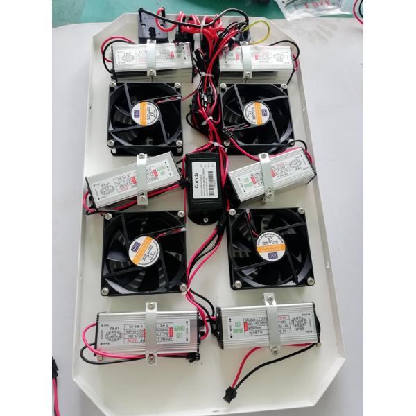 RikoLite 300W Full Spectrum Plant Led Grow Lights For Growing Plants