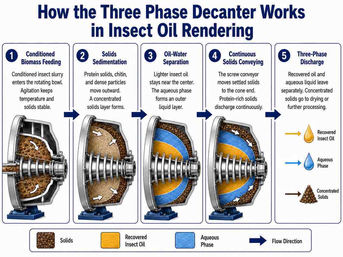 Three Phase Decanter Centrifuge for Insect Oil Rendering
